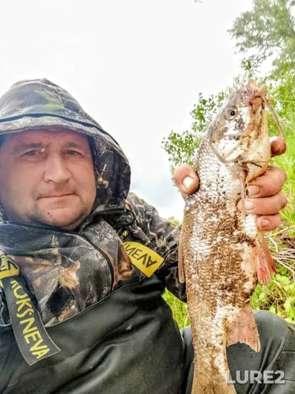 Bream, Ide — Shudelka, Jun 30, 2019