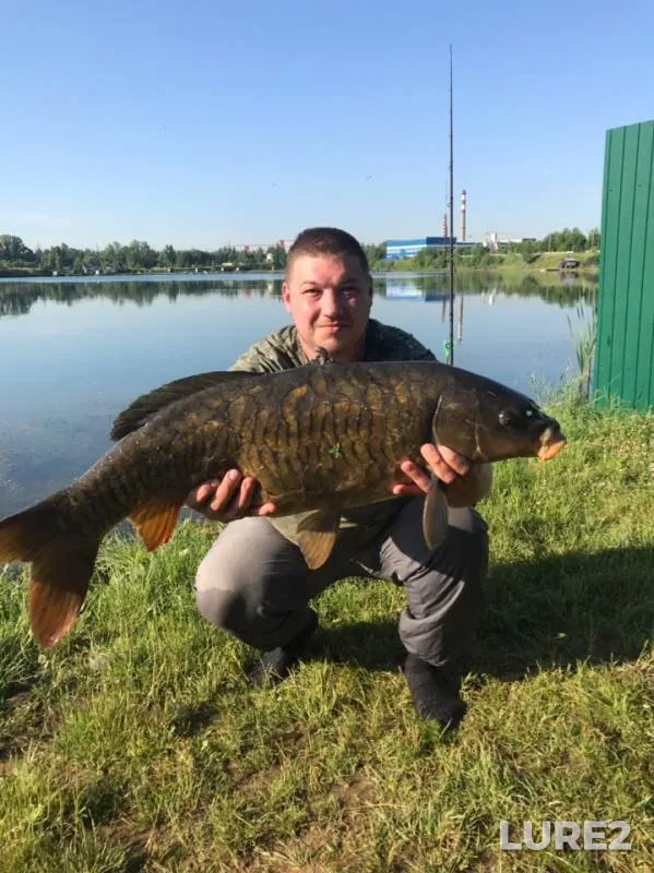 Carp — Amerevskiy karyer, Jun 14, 2019