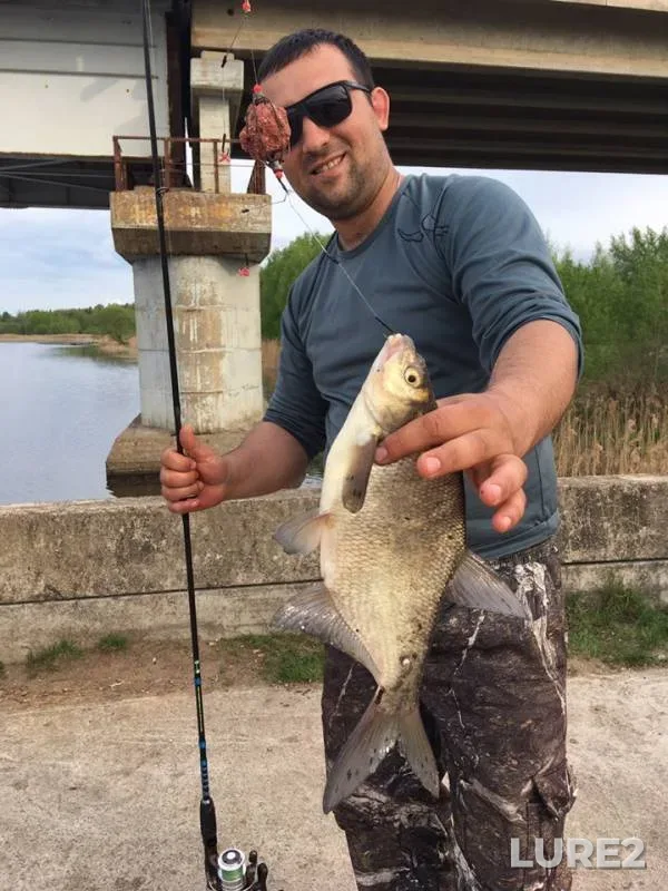 Bream — Zhabnya, May 13, 2019