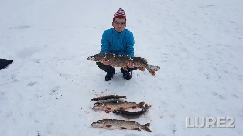 Pike — Volkhov, Mar 24, 2019