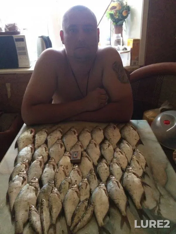 Bream — Irtysh, Aug 02, 2017
