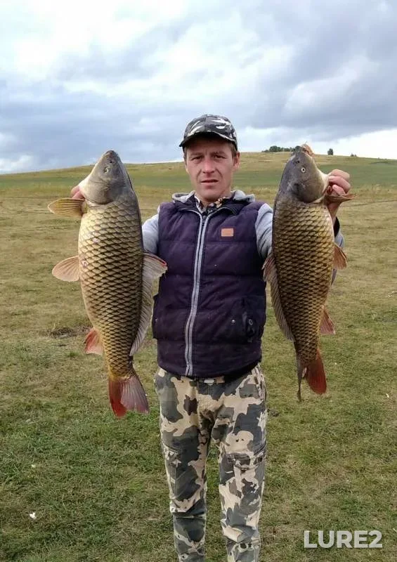 Pike — Chelyabinskaya oblast, Uyskiy rayon, Sep 10, 2017