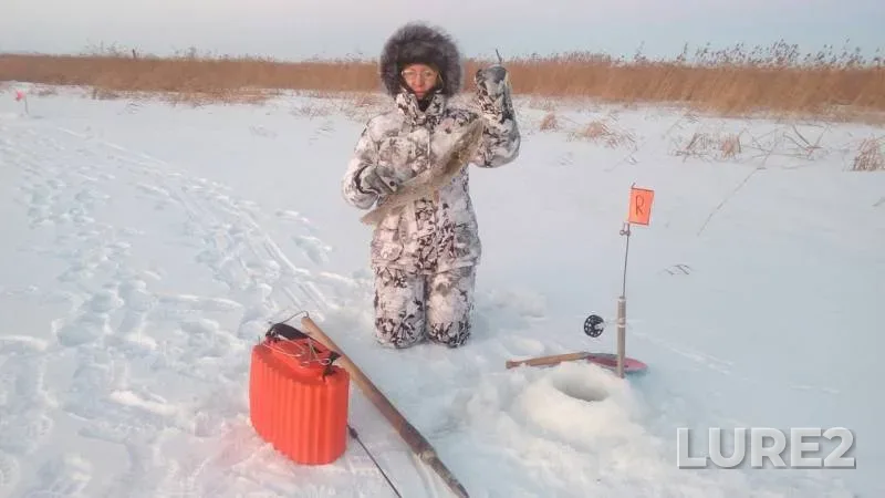 Pike — Nizhnekamskoye, Jan 08, 2018