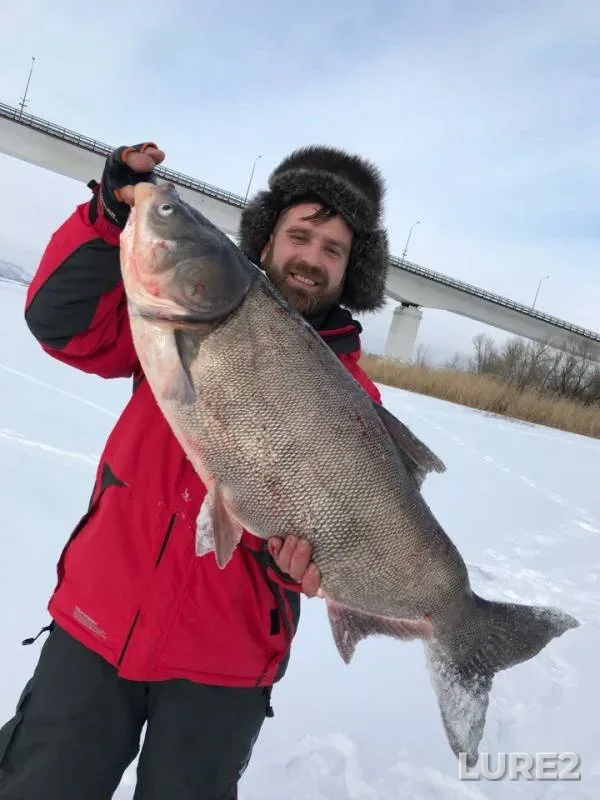 Perch — Don, Jan 22, 2018
