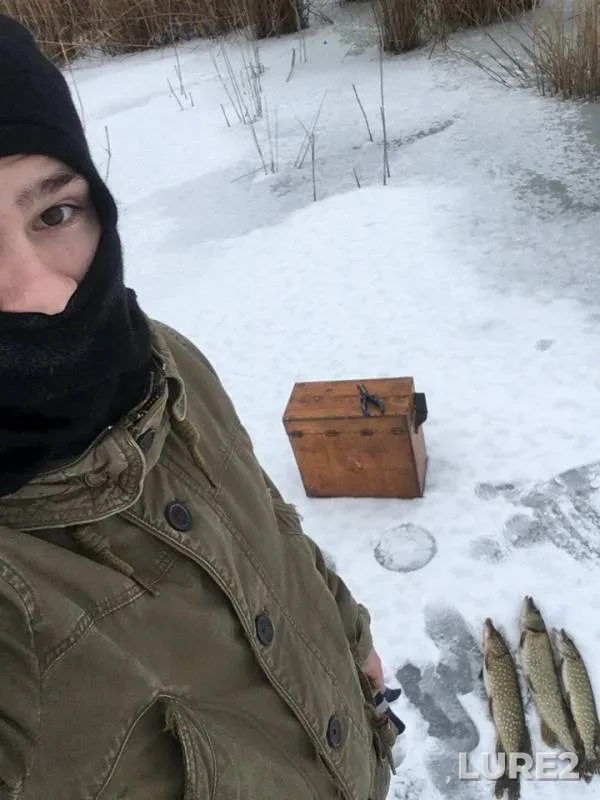 Perch, Pike — Krasnodarskiy kray, Kanevskoy rayon, Feb 01, 2018