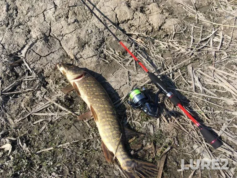 Pike — Tukhkalampi, Apr 24, 2019