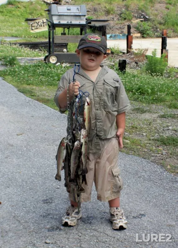 Rainbow trout — Georgia, White County, Feb 01, 2018