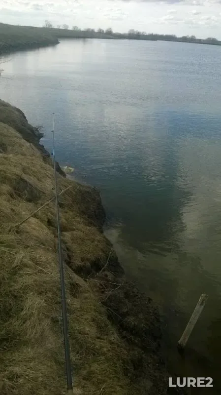 Crucian carp — Altayskiy kray, Yegoryevskiy rayon, Apr 28, 2019