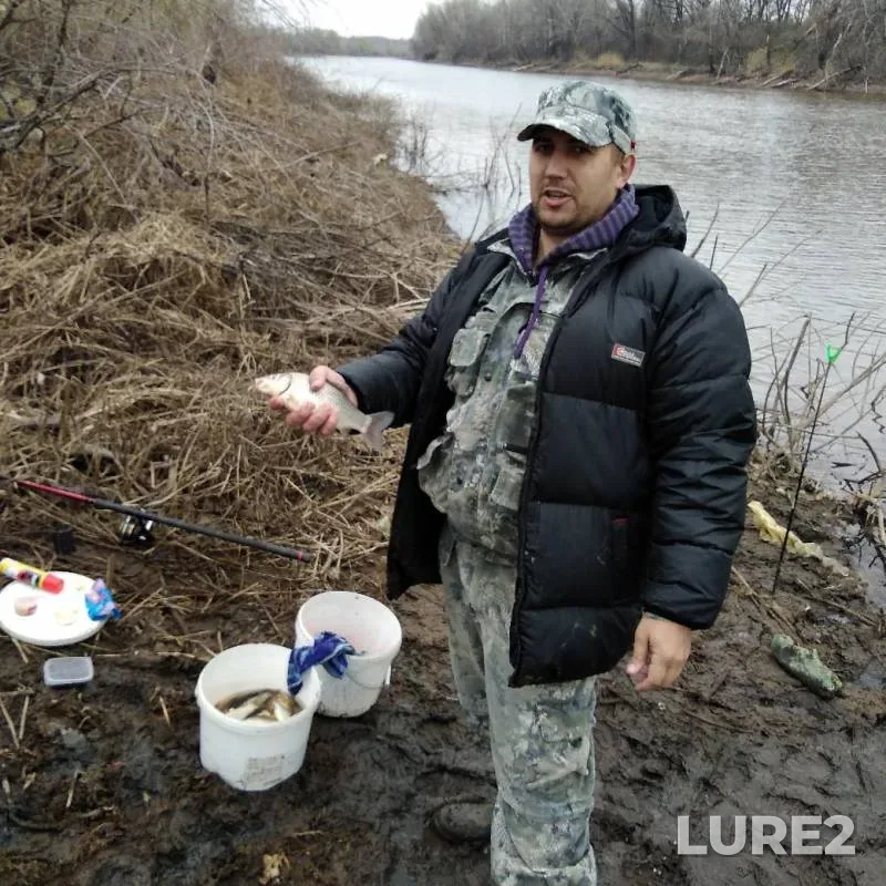 Crucian carp — Shirokoye, Apr 29, 2019
