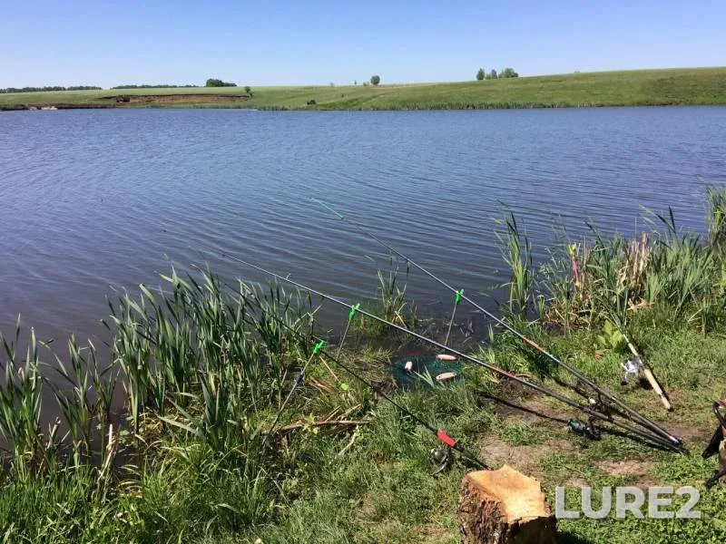 Carp, Crucian carp — Sukhoy Karachan, May 18, 2019