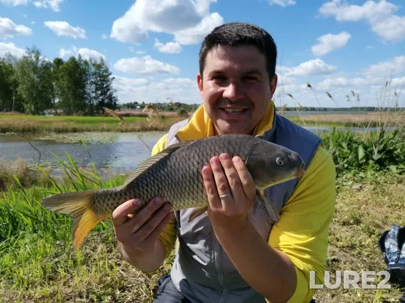 Carp — Rybkhoza, May 19, 2019