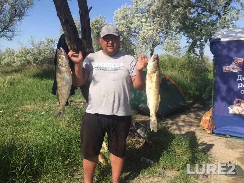 Zander — Magoyskiy bank, May 24, 2019