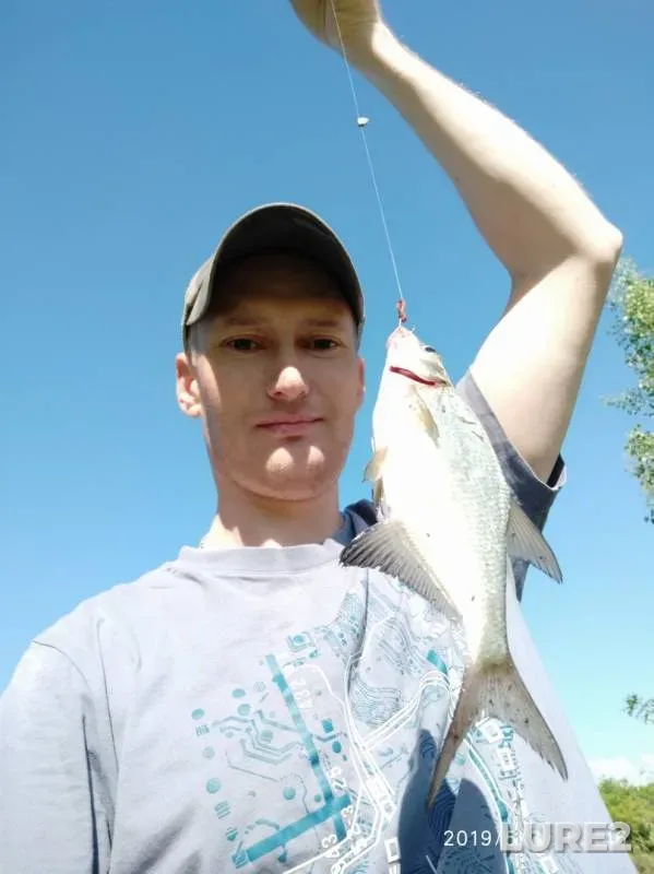 Bream, Roach — Chapayevka, May 31, 2019