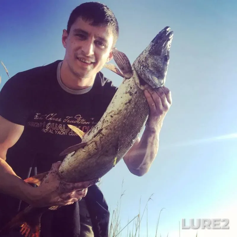 Pike — Kemerovskaya oblast, Jun 08, 2019