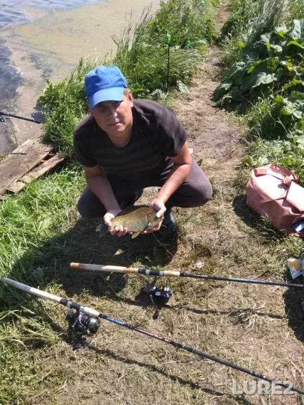 Crucian carp — Yavshildy, Jun 10, 2019