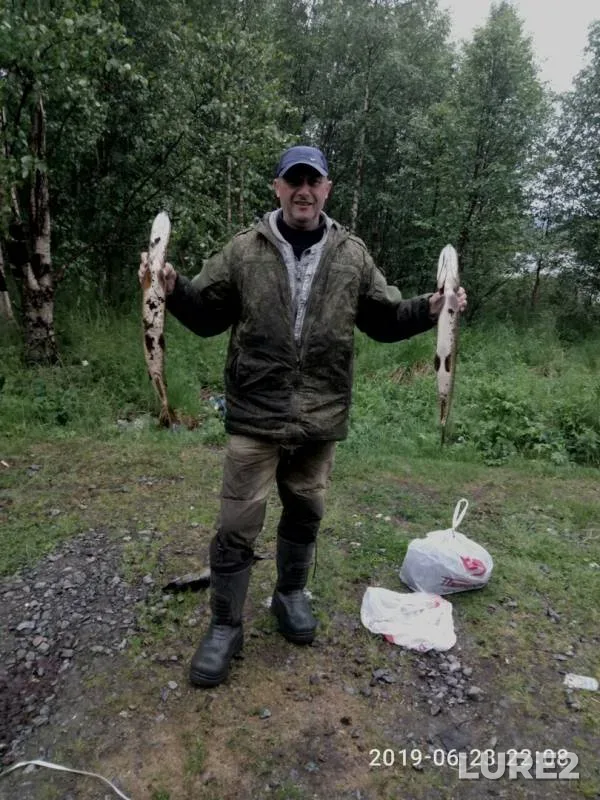 Pike — Kuolayarvi, Jul 02, 2019
