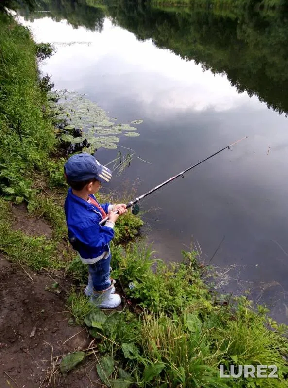 Perch — Bisert, Jul 27, 2019