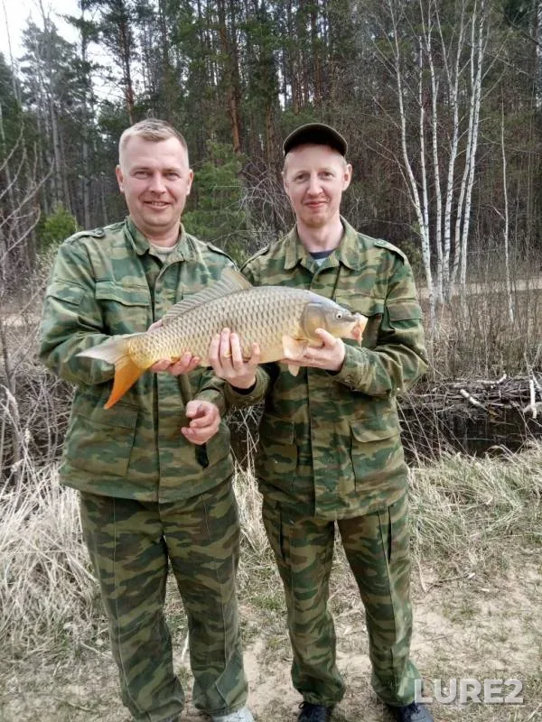 Carp — Shemley, Aug 02, 2019