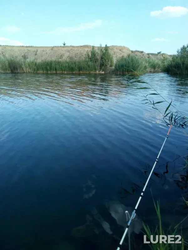 Bream — Golubaya laguna, Aug 08, 2019