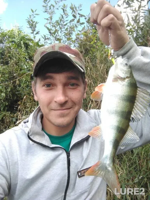 Perch — Oka, Aug 27, 2019