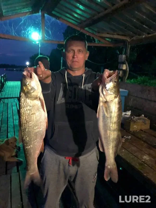 Asp, Zander — Rytnyy bank, Sep 13, 2019