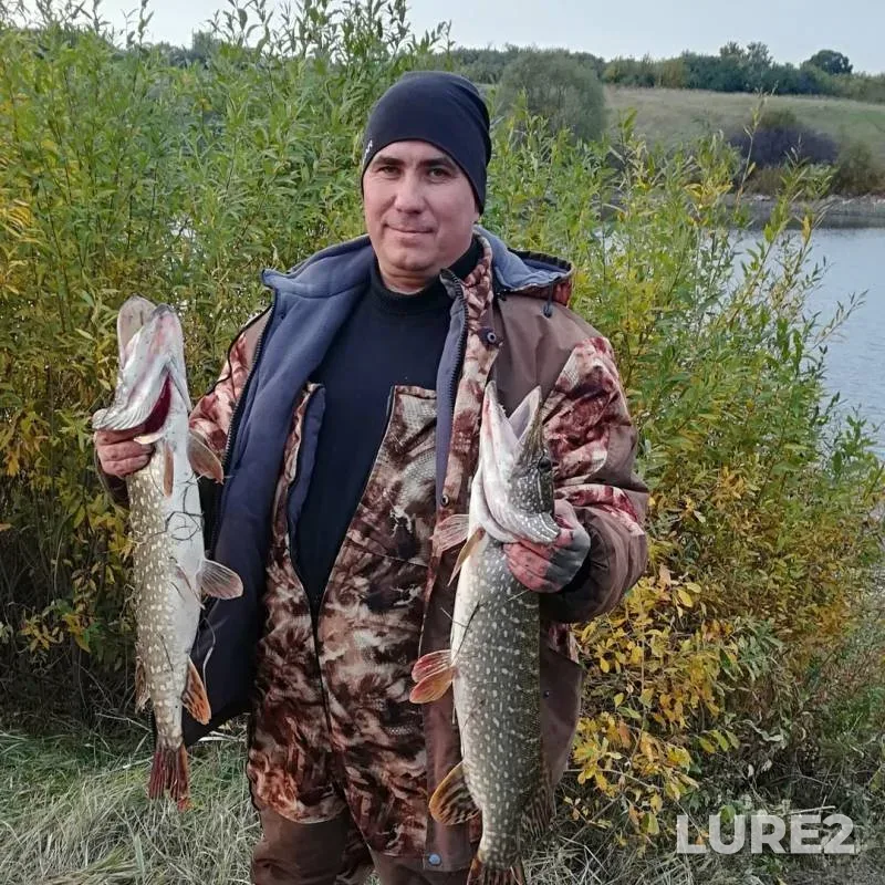 Pike — Tambovskaya oblast, Inzhavinskiy munitsipalnyy okrug, Oct 30, 2019