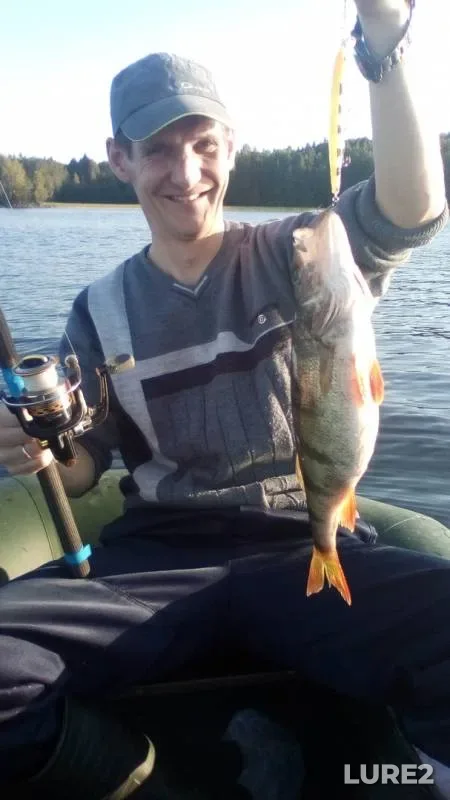 Perch, Pike — Makkolampi, Nov 24, 2019