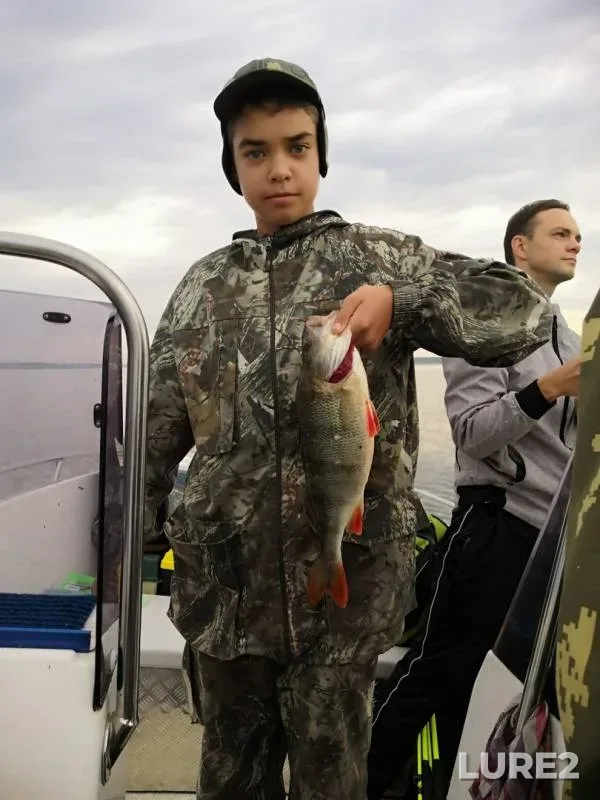 Perch — Kuybyshevskoye, Aug 18, 2019