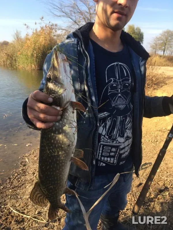 Pike — Tuzlov, Oct 28, 2019