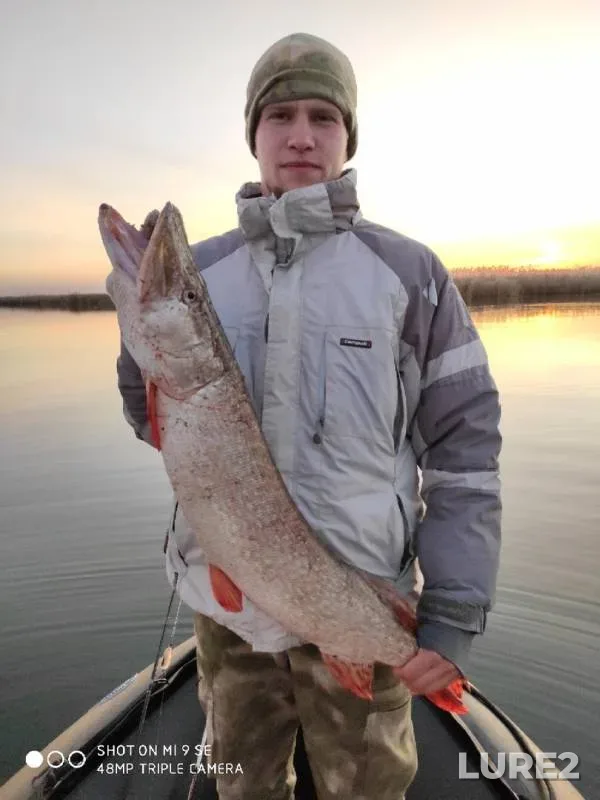 Pike — Rostovskaya oblast, Nov 09, 2019