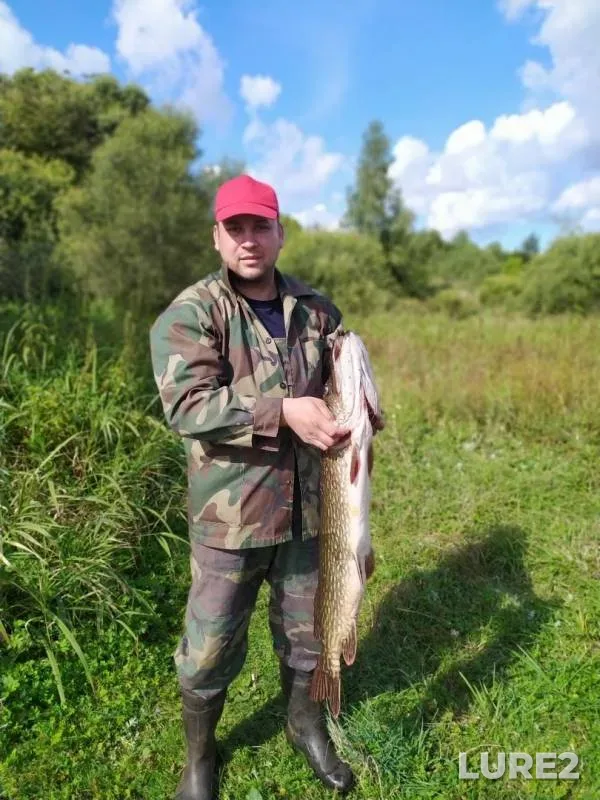Pike — Sesito, Sep 15, 2019