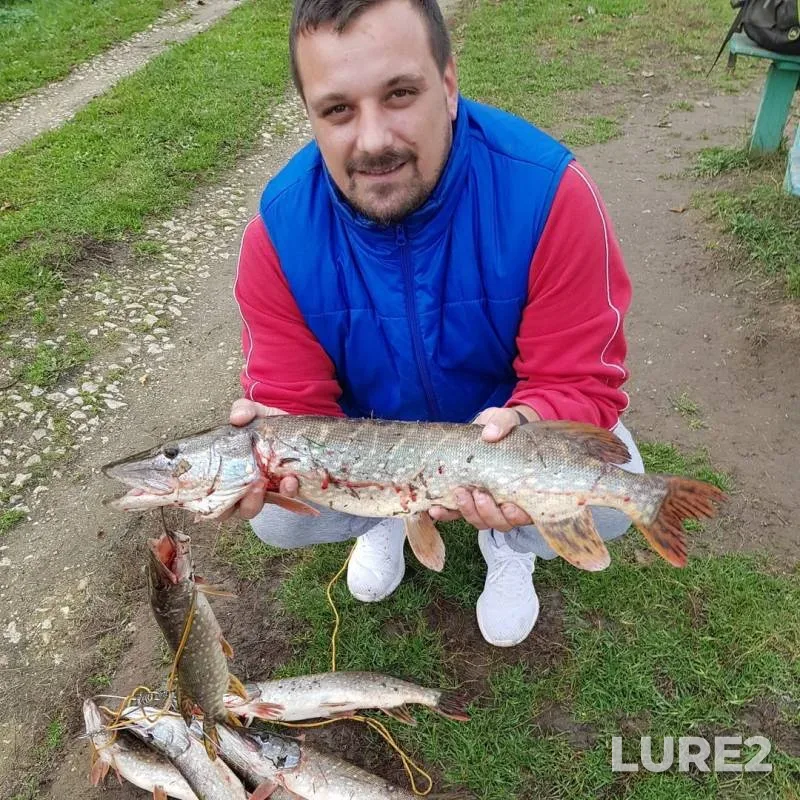 Pike — Pakhra, Oct 05, 2019