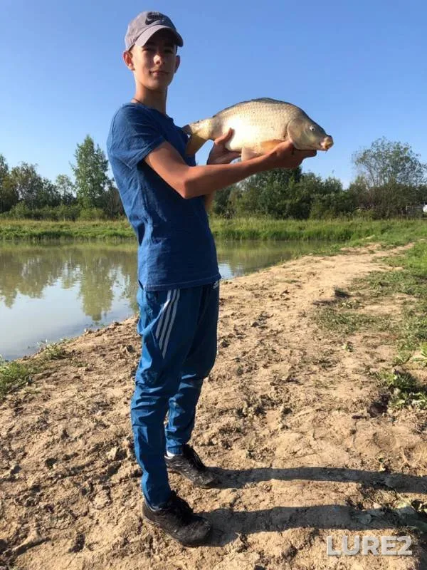 Carp — Strelka, Nov 13, 2019