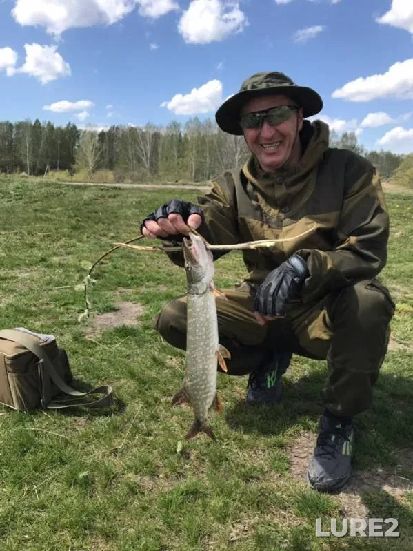 Pike — Balta, Jun 02, 2019
