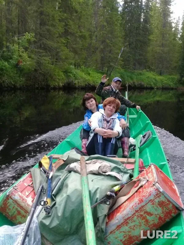 Perch — Severnaya Dvina, Sep 22, 2019