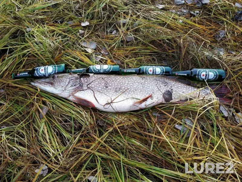 Pike — Turba, Sep 24, 2019