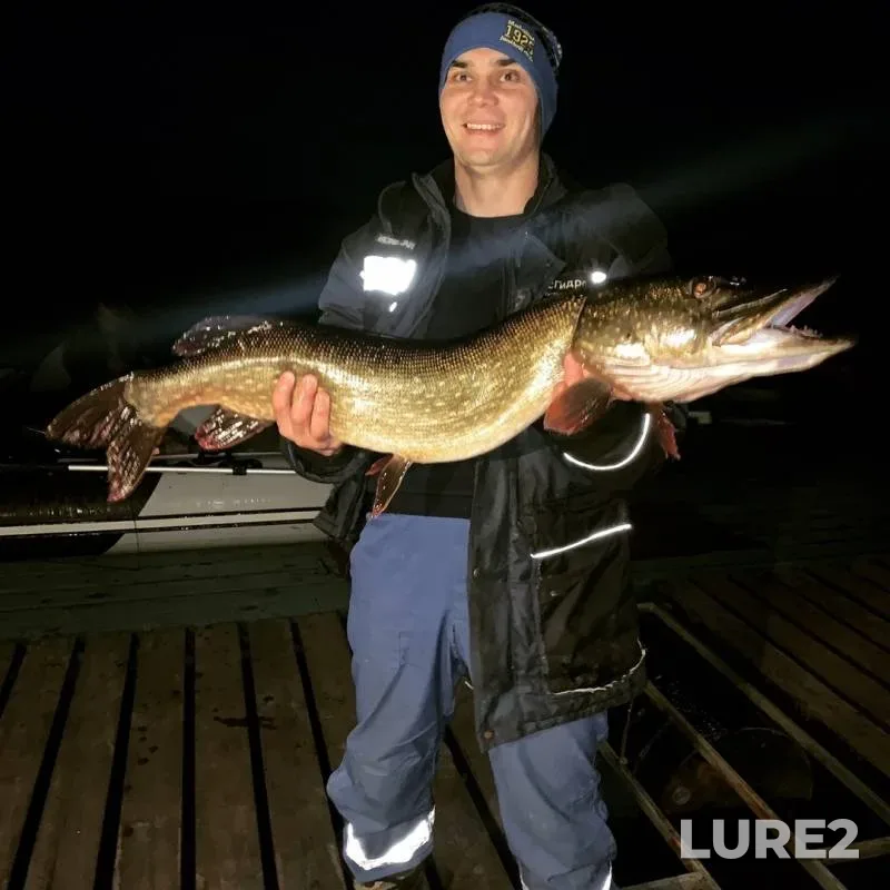 Pike — Kubrinskoye, Nov 09, 2019