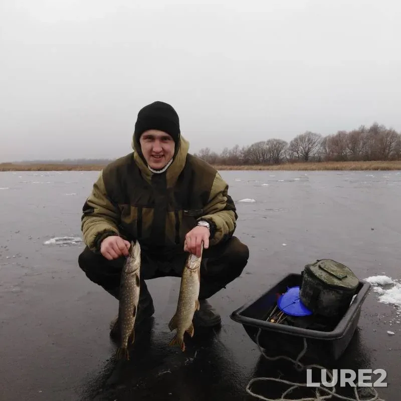 Pike — Lipetskaya oblast, Nov 29, 2019