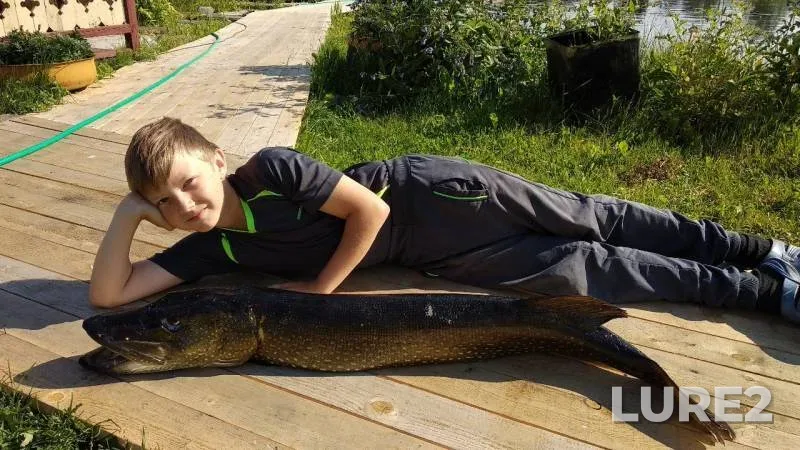 Pike — Respublika Kareliya, Medvezhyegorskiy rayon, Jun 26, 2019