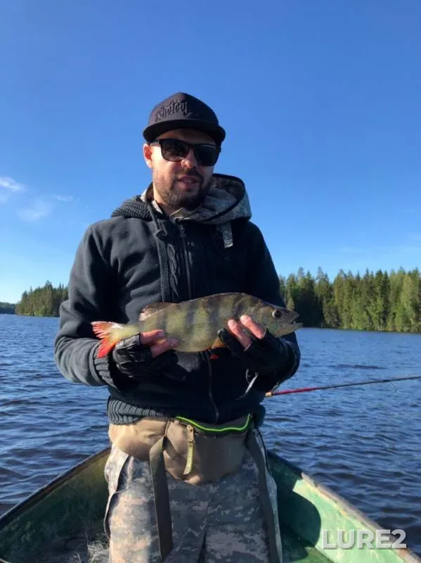 Perch — Saimaan kanava - Saimaa Canal - Saymenskiy kanal - Saima kanal, Jun 29, 2019