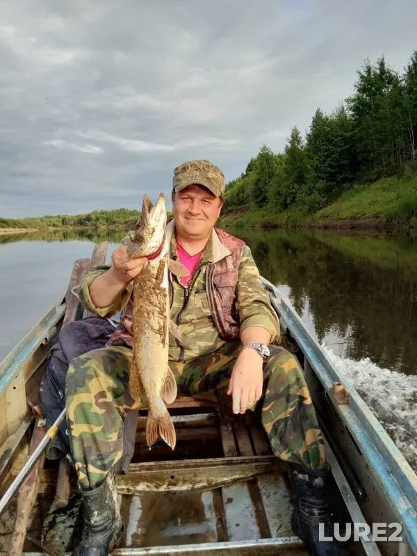 Pike — Vetluga, Jul 01, 2019