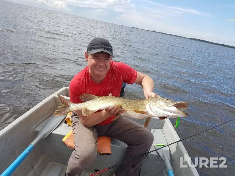 Pike — Leningradskaya oblast, Kirovskiy rayon, Jul 05, 2019