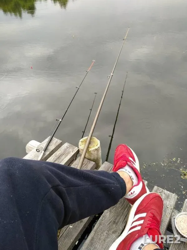 Tench — Poloza, Jul 11, 2019