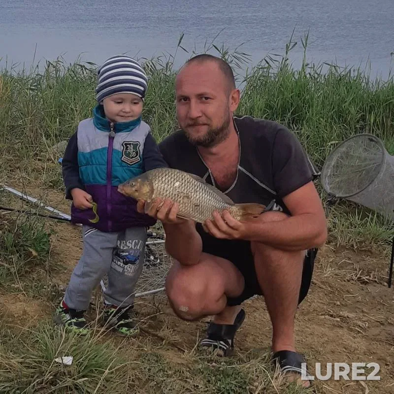 Carp — Samarskaya oblast, Jul 13, 2019