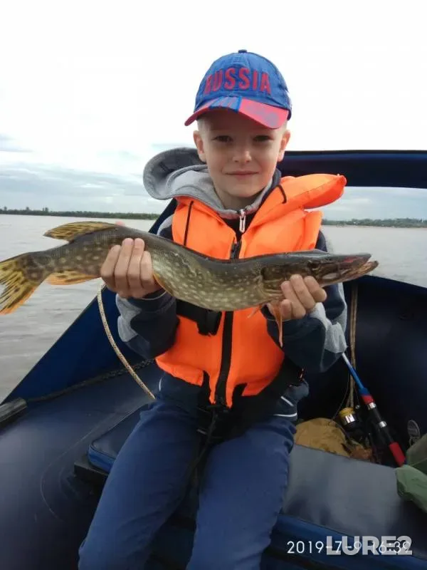 Pike — Severnaya Dvina, Jul 16, 2019