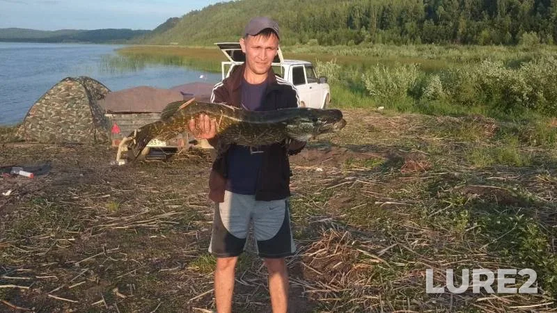 Pike — Angara, Jul 12, 2019