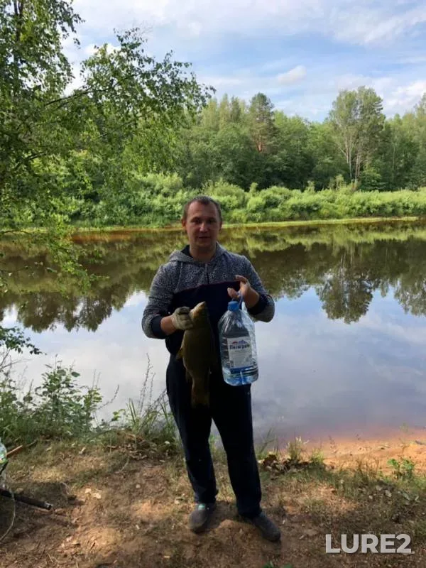 Tench — Luga, Jul 15, 2019