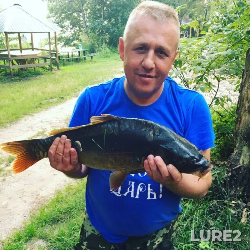 Carp — Orlovskaya oblast, Jul 29, 2019
