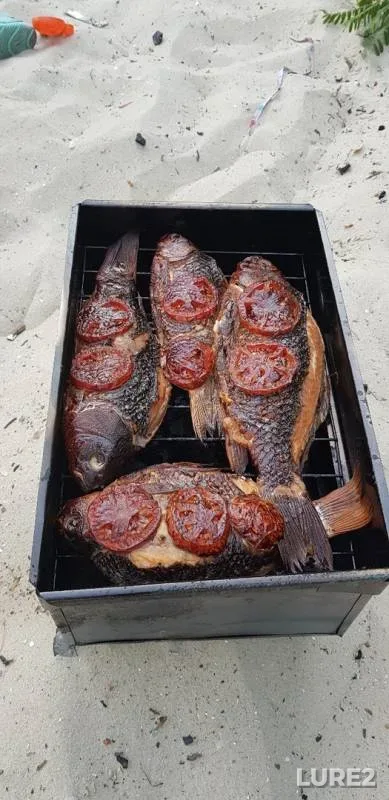 Crucian carp — Don, Jul 20, 2019