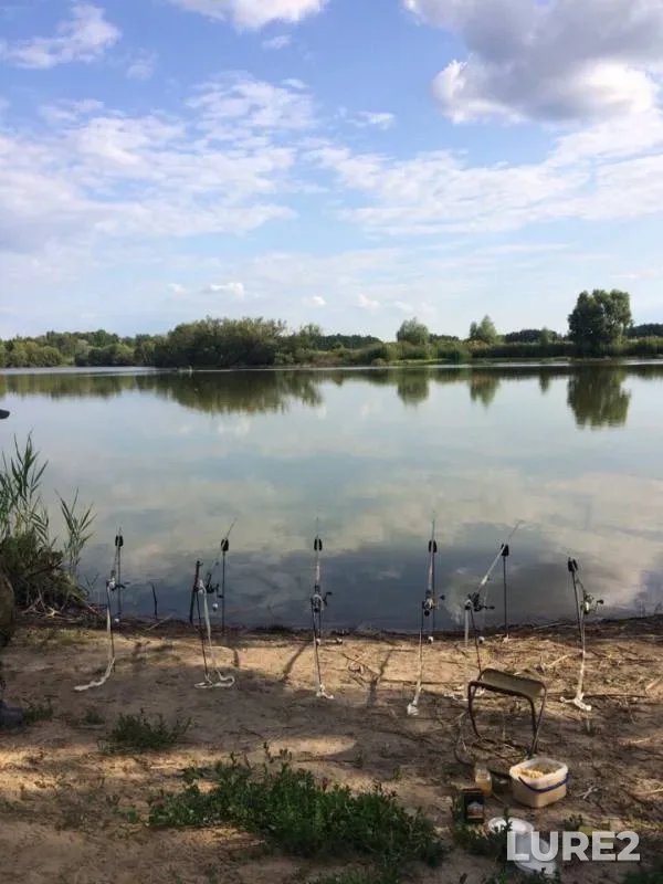 Carp — Voronezhskaya oblast, Jul 19, 2019